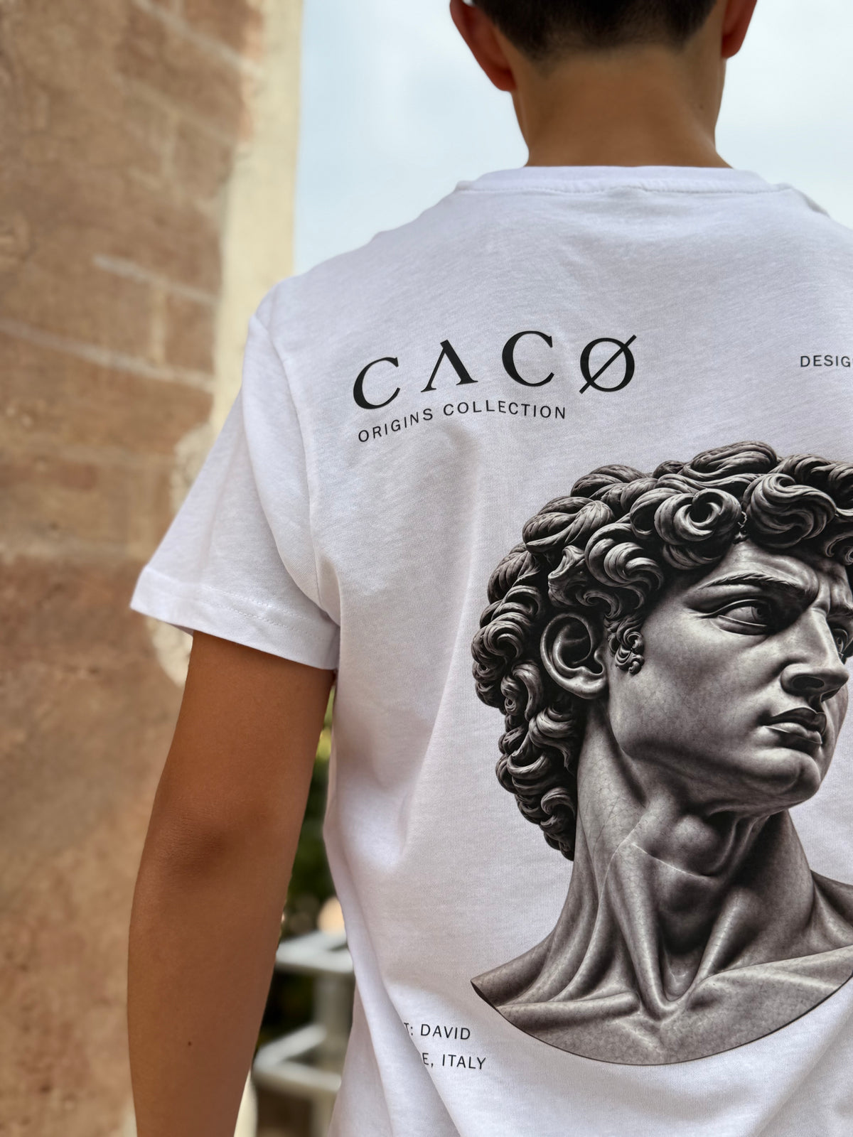 Camiseta algodón CACO DAVID-1504